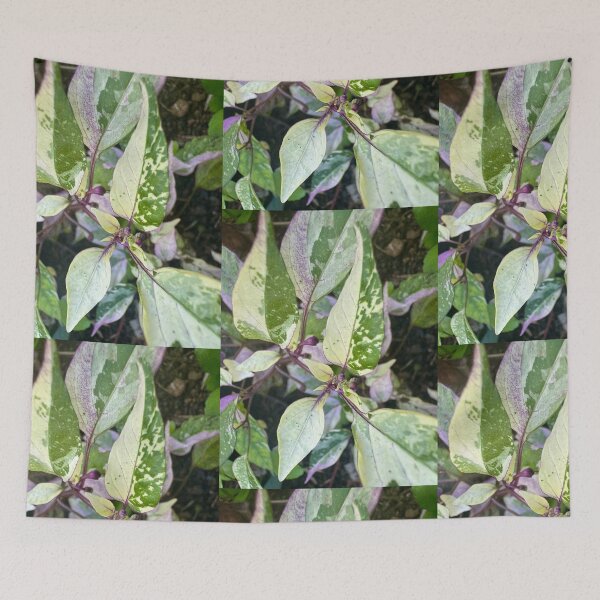 Item preview, Variegated Leaves — Nature Pattern designed and sold by TrisaThyme.