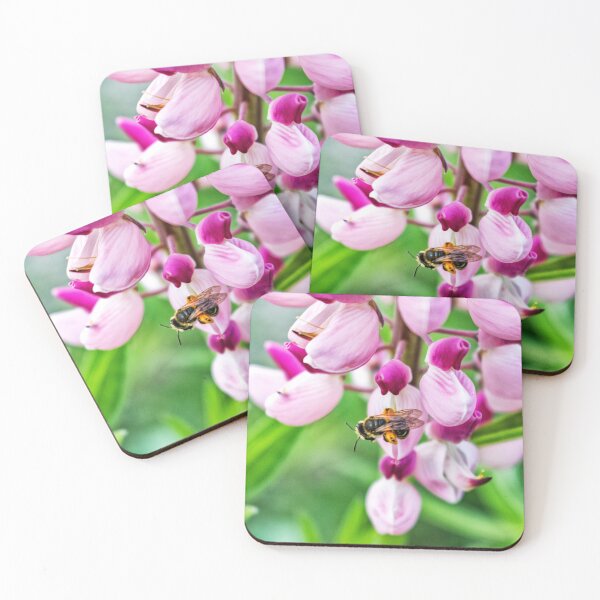 Item preview, Collecting designed and sold by ACarrigan.