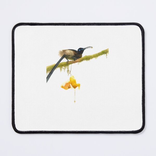 Item preview, Brown Sicklebill (Epimachus meyeri) designed and sold by HOMETOWN86.