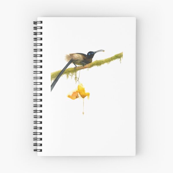 Item preview, Brown Sicklebill (Epimachus meyeri) designed and sold by HOMETOWN86.
