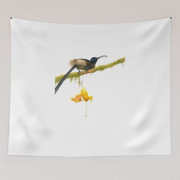 Item preview, Brown Sicklebill (Epimachus meyeri) designed and sold by HOMETOWN86.