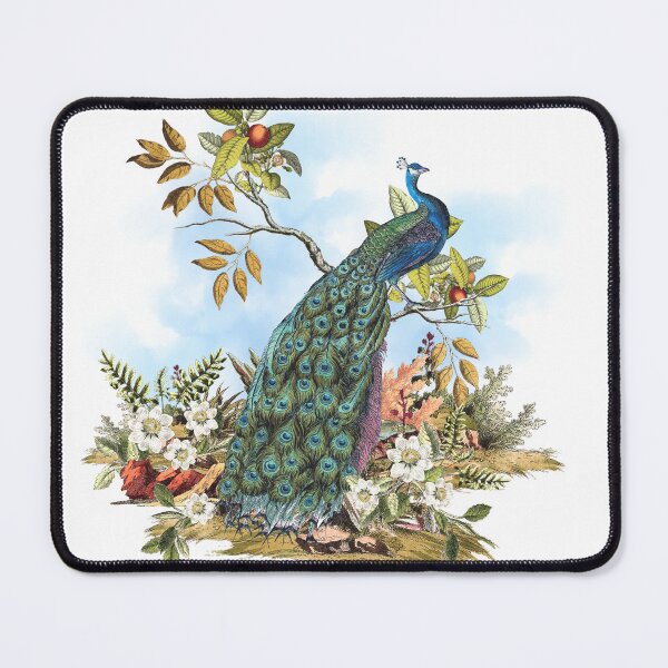 Item preview, #peacock #peacockart #peacockillustration #flowerart designed and sold by letsgow8th.