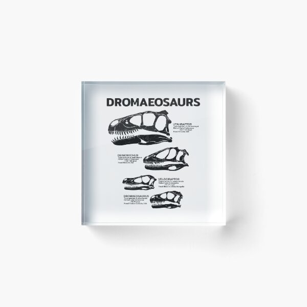Item preview, Dromaeosaurus Fact Sheet designed and sold by NicGrayGraphic.