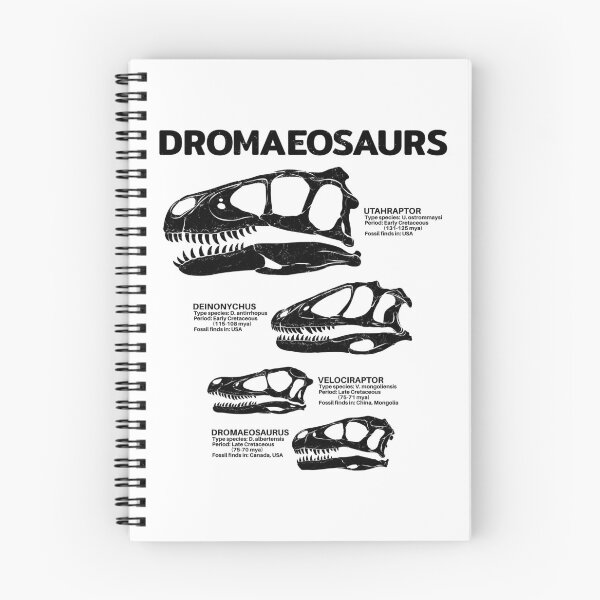 Item preview, Dromaeosaurus Fact Sheet designed and sold by NicGrayGraphic.