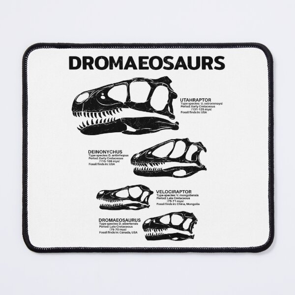 Item preview, Dromaeosaurus Fact Sheet designed and sold by NicGrayGraphic.