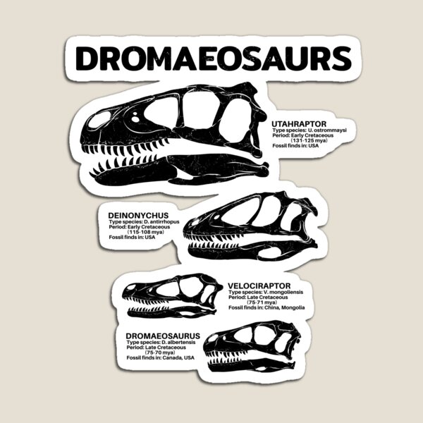 Item preview, Dromaeosaurus Fact Sheet designed and sold by NicGrayGraphic.