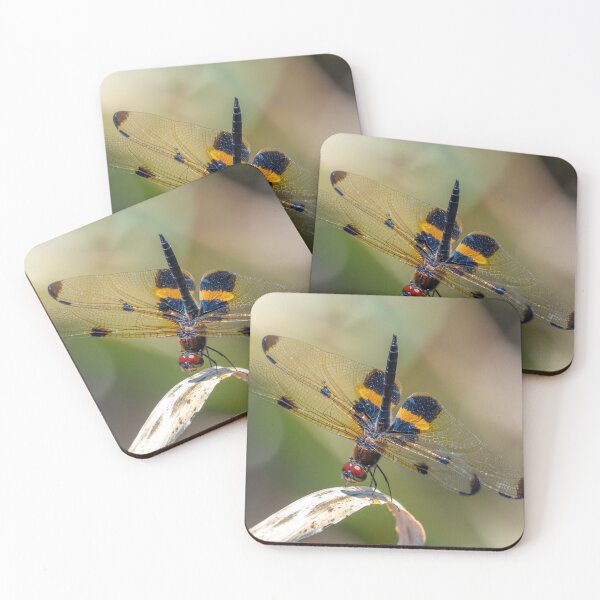 Item preview, Yellow-striped Flutterer, Nudgee Waterholes designed and sold by Robert Ashdown.