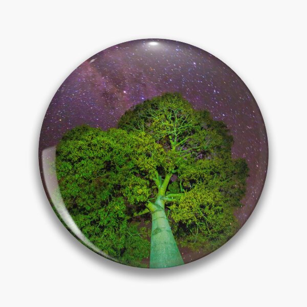 Item preview, Queensland Bottle Tree, Jimbour, Darling Downs. designed and sold by Robert Ashdown.