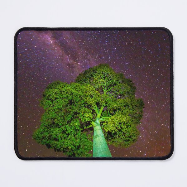 Item preview, Queensland Bottle Tree, Jimbour, Darling Downs. designed and sold by Robert Ashdown.