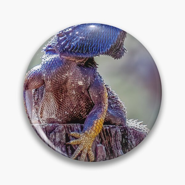 Item preview, Bearded Dragon, Glenmorgan, Queensland designed and sold by Robert Ashdown.