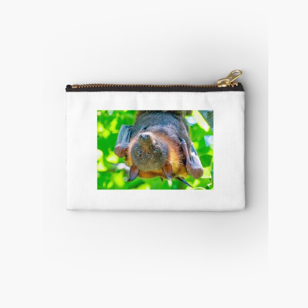 Item preview, Little Red Flying Fox, Helidon, Queensland designed and sold by Robert Ashdown.
