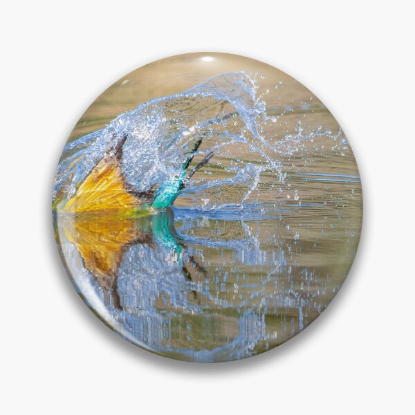 Item preview, Rainbow Bee-eater diving into a dam to bathe, Jimbour, Queensland designed and sold by Robert Ashdown.