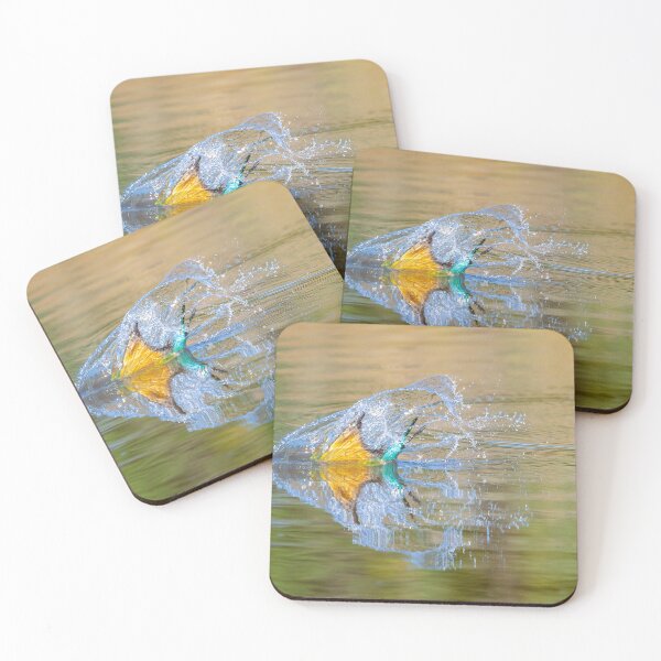 Item preview, Rainbow Bee-eater diving into a dam to bathe, Jimbour, Queensland designed and sold by Robert Ashdown.