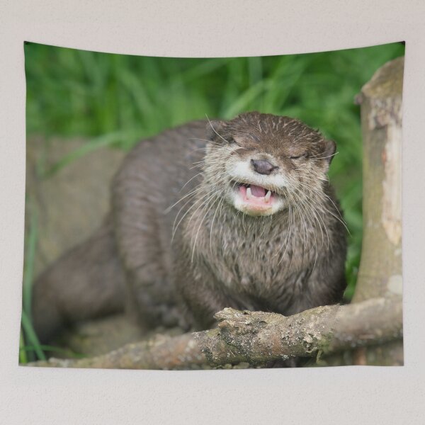 Item preview, Smiling Otter designed and sold by rawshutterbug.