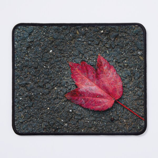 Item preview, Red Maple Leaf on Wet Asphalt designed and sold by Rabee Khalil Photography.