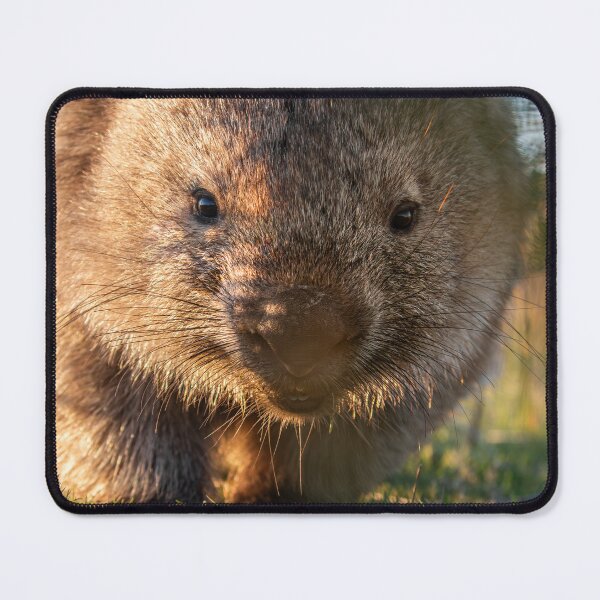 Item preview, Wombie Love designed and sold by bella photoaus.