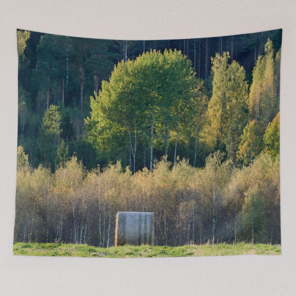 Item preview, Lanzamiento. Otoño de 2025 designed and sold by Jouko Lehto Photography.