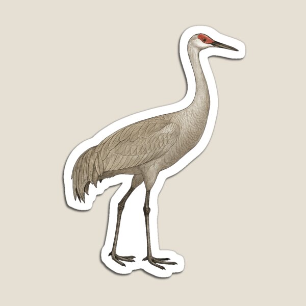 Item preview, Sandhill crane designed and sold by GullHyena.