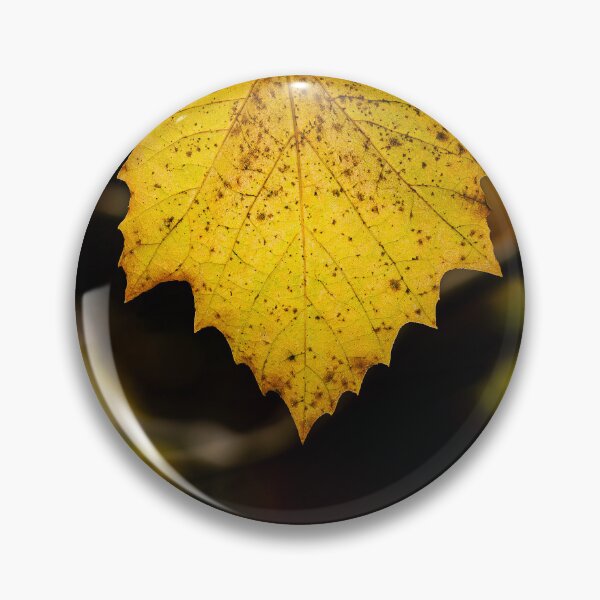Item preview, Single Yellow Leaf on Branch designed and sold by Rabee Khalil Photography.