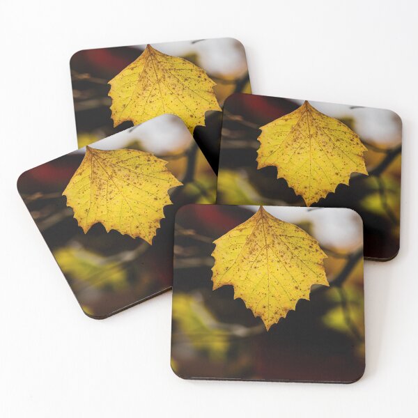 Item preview, Single Yellow Leaf on Branch designed and sold by Rabee Khalil Photography.