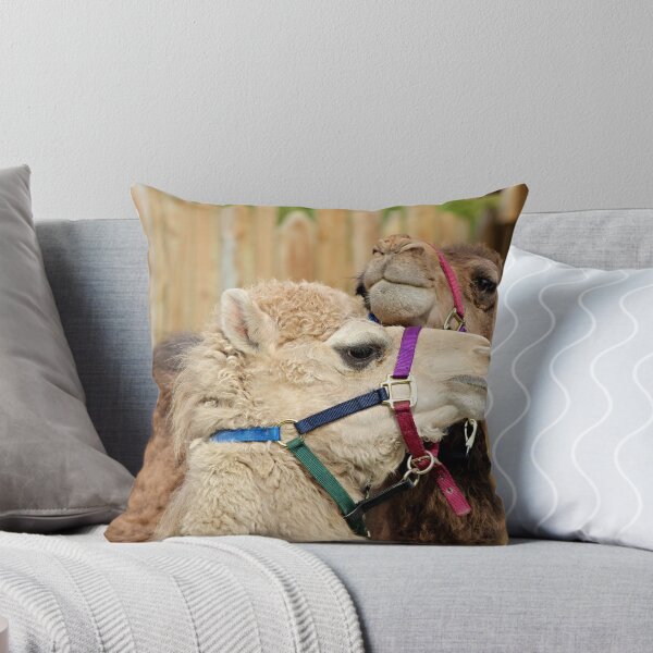 Item preview, Affection designed and sold by Robin Simmons.