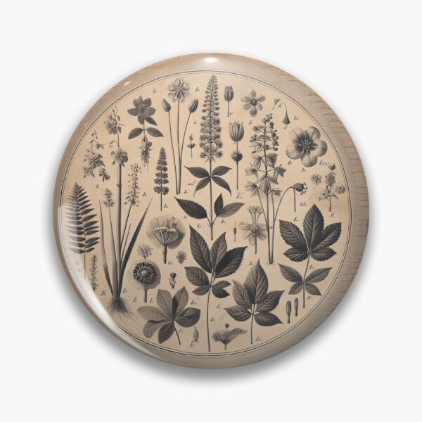 Item preview, Botanical Herbarium Plate designed and sold by JLMWorks.