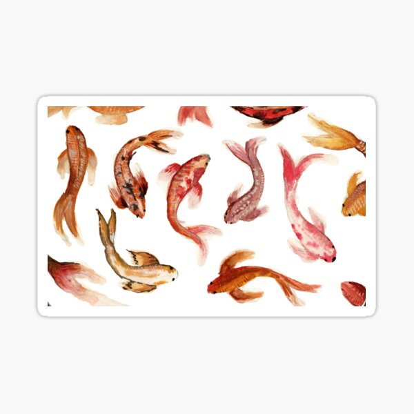Koi Fish Sticker