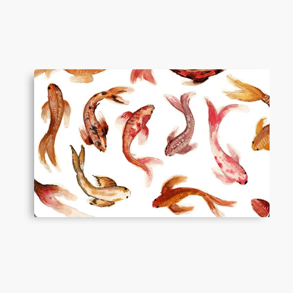 Koi Fish Canvas Print For Sale By Artbyfreya Redbubble