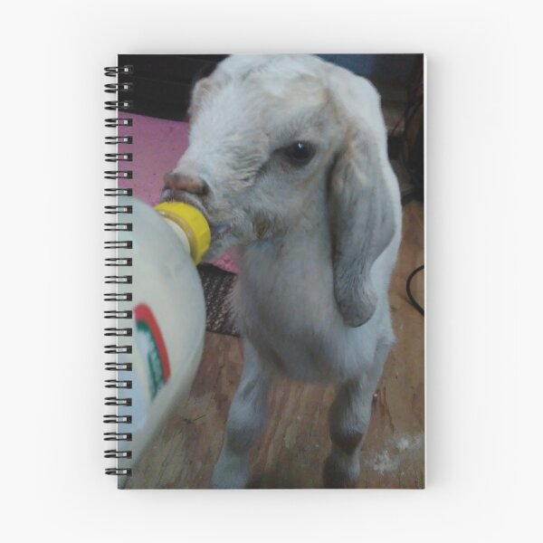 Item preview, The Leaky Ark: Gambit one day old designed and sold by Angelica Maria Frances.