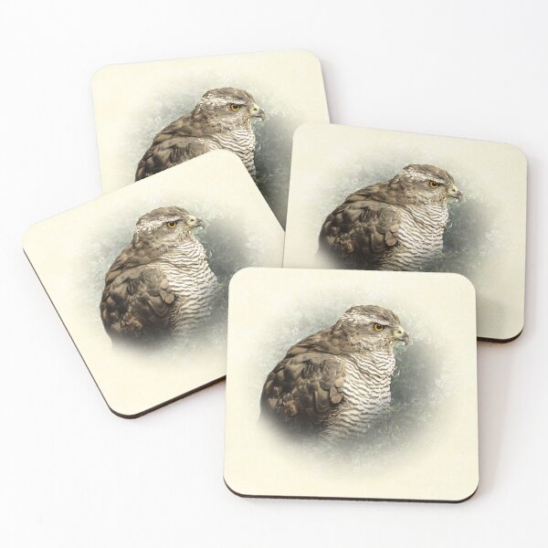 Item preview, Goshawk designed and sold by Guardi71.