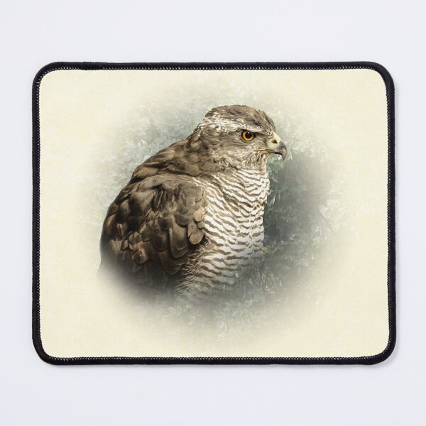 Item preview, Goshawk designed and sold by Guardi71.