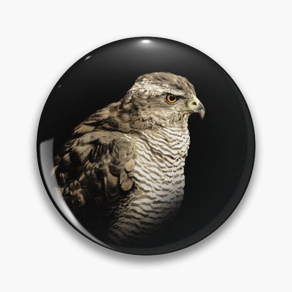 Item preview, Goshawk designed and sold by Guardi71.