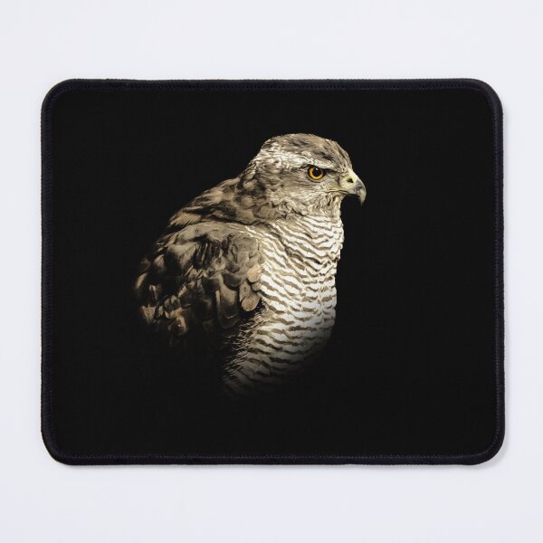 Item preview, Goshawk designed and sold by Guardi71.