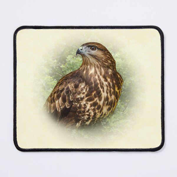 Item preview, Buzzard designed and sold by Guardi71.