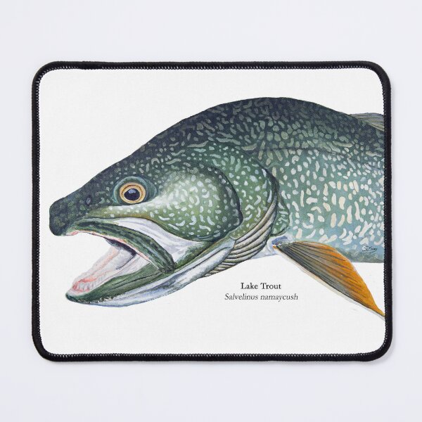 Item preview, Siscowet Lake Trout designed and sold by Stephen Emms.