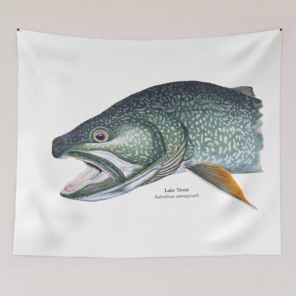 Item preview, Siscowet Lake Trout designed and sold by Stephen Emms.