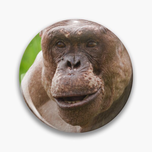 Item preview, Jambo Owning the Moment designed and sold by rawshutterbug.