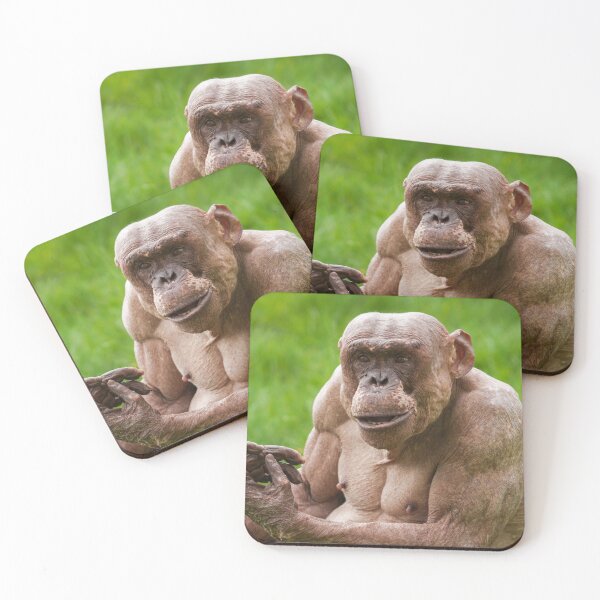 Item preview, Jambo Owning the Moment designed and sold by rawshutterbug.