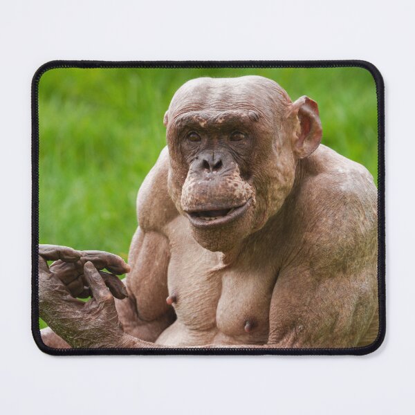 Item preview, Jambo Owning the Moment designed and sold by rawshutterbug.