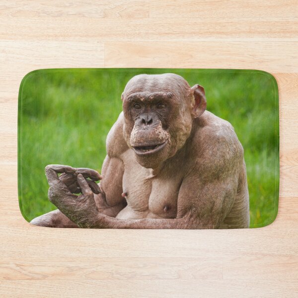 Item preview, Jambo Owning the Moment designed and sold by rawshutterbug.