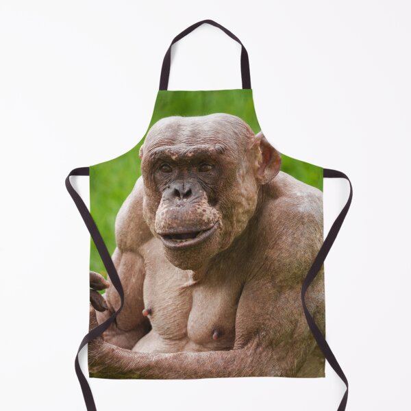 Item preview, Jambo Owning the Moment designed and sold by rawshutterbug.
