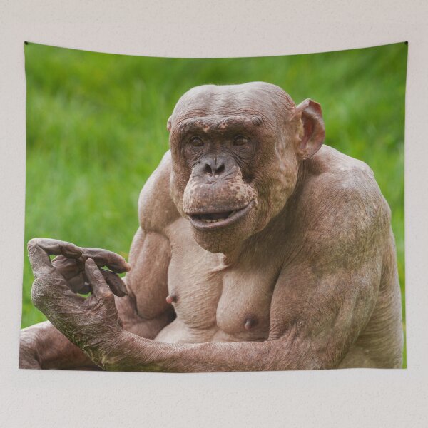 Item preview, Jambo Owning the Moment designed and sold by rawshutterbug.