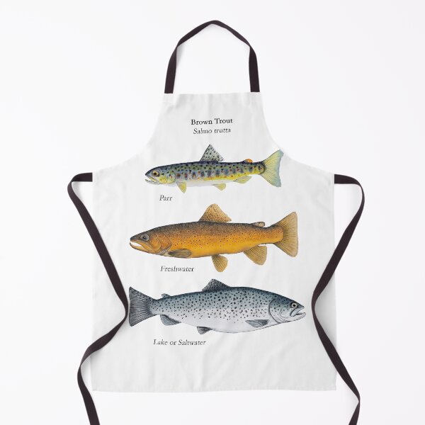 Item preview, Brown Trout StagesPainting  designed and sold by Stephen Emms.