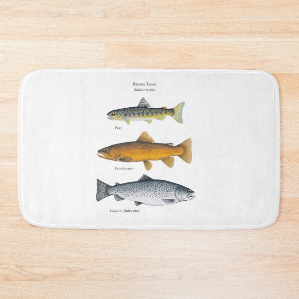Item preview, Brown Trout StagesPainting  designed and sold by Stephen Emms.