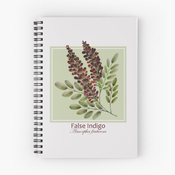 Item preview, False Indigo (Amorpha fruticosa) designed and sold by Art_By_Wing.