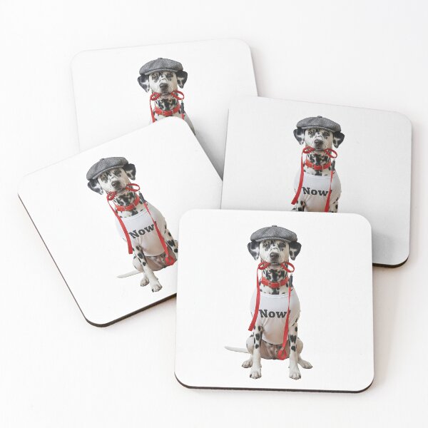 Item preview, Dog wearing a flat cap, collar, leash, and t-shirt designed and sold by PetPeter.