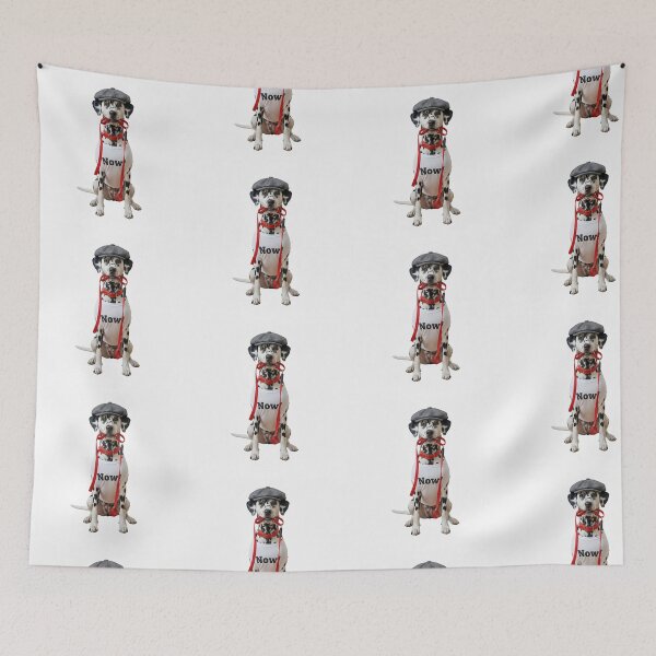 Item preview, Dog wearing a flat cap, collar, leash, and t-shirt designed and sold by PetPeter.