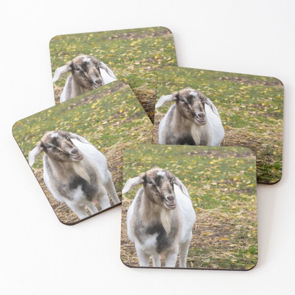 Item preview, Goat at Mountsberg Conservation designed and sold by jrtwynam.