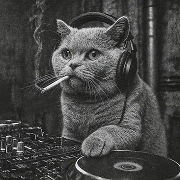 Artwork thumbnail, Cat Rave by Stefan Slater