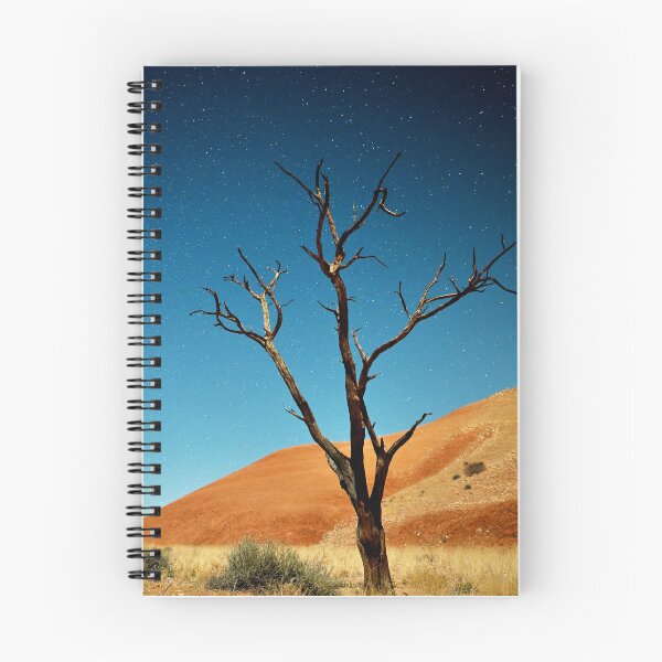 Item preview, Starry sky in Namibia, wild camp in the savannah. Original photography designed and sold by studio838.
